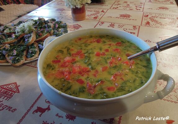 Cueillette et cuisine des plantes sauvages