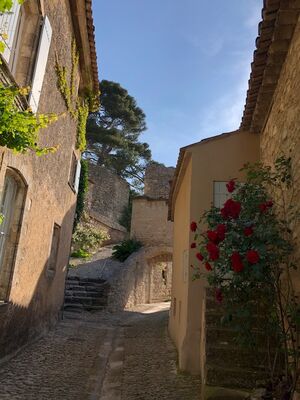 Le Jardinet