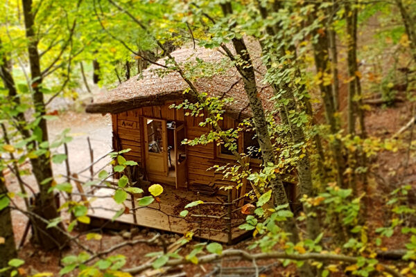 Les cabanes enchantées