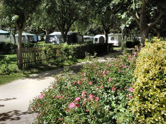 CAMPING LES ERABLES