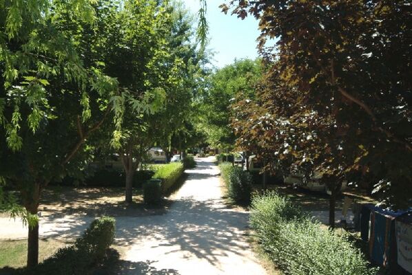 CAMPING LES ERABLES
