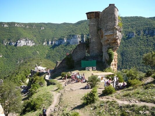 CHATEAU DE PEYRELADE