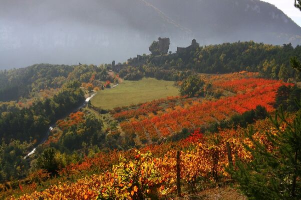 Château de Peyrelade