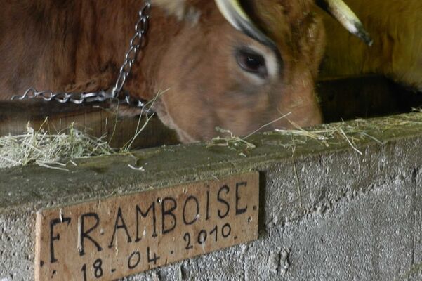 Ferme Pédagogique et d'Animation de Prignolles