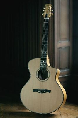 Michel CASSAN - Luthier