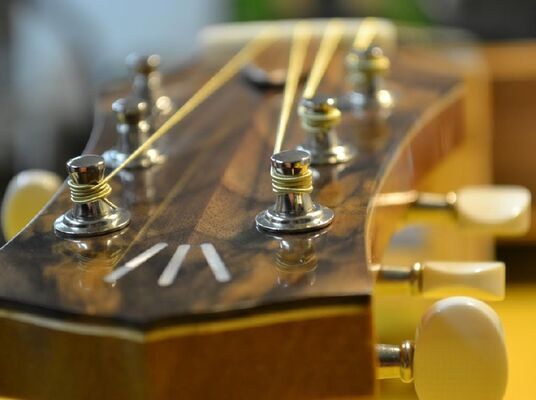 Michel CASSAN - Luthier
