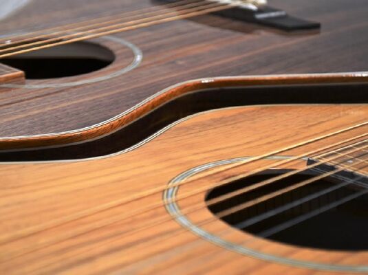 Michel CASSAN - Luthier