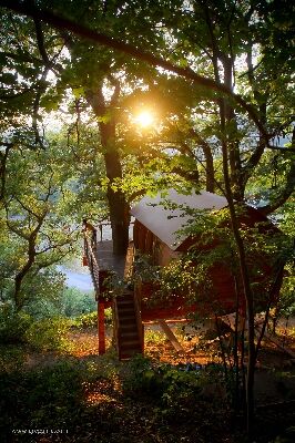 La Cabane de Millau