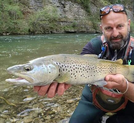 Grosse truite prise en nymphe au Tenkara