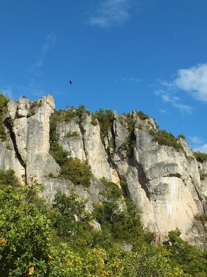Le Gîte des Vautours