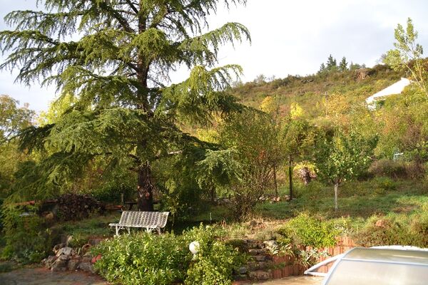 Le terrain