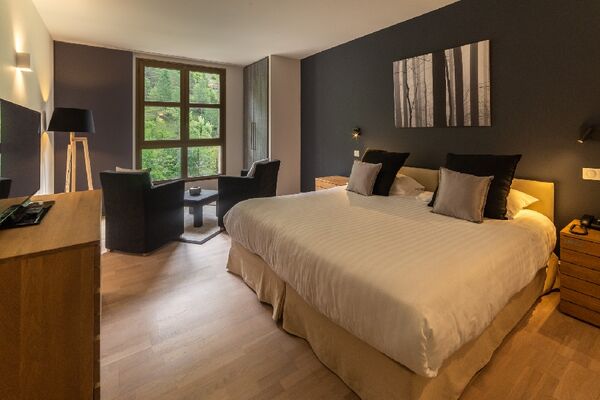 CHAMBRE ELEGANCE HOTEL DE LA MUSE ET DU ROZIER