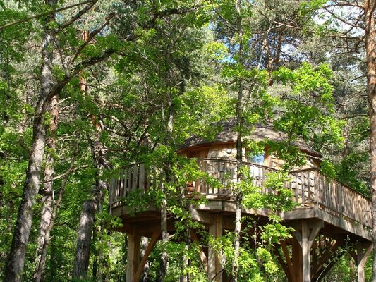 Cabane de Lily - Cabane perchée avec Spa près de Millau
