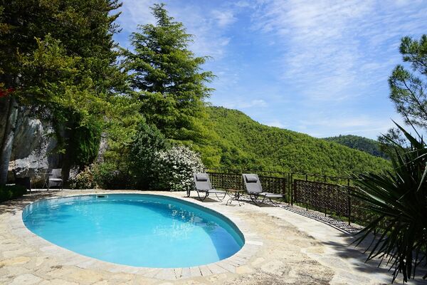 piscine dans son écrin de verdure