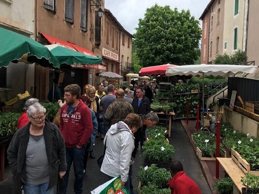 XXIème Rendez-vous Jardinier