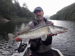 Pêche aux carnassiers