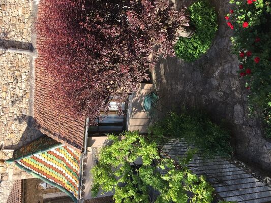 Vu depuis l'appartement sur le jardin arboré du propriétaire
