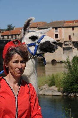 Lamas du Soleil