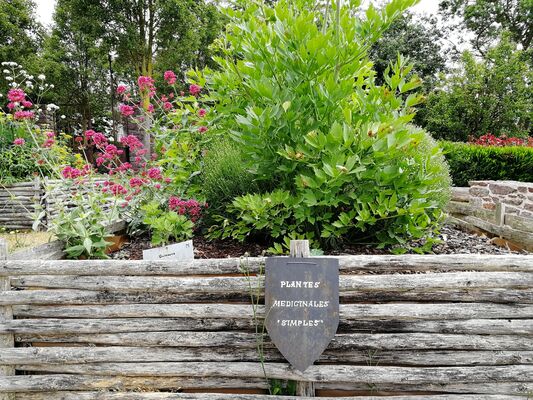 Jardin médiéval