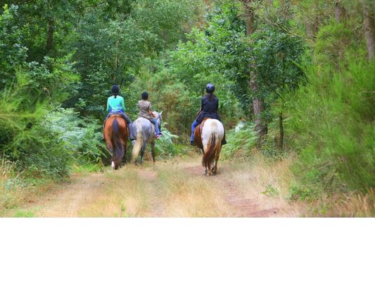 Activités au Centre équestre Cheval Brocéliande