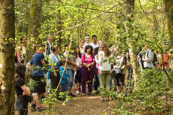 Balade contée Il était une fois Brocéliande