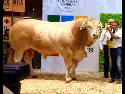 GAEC Picard-Robin - Caro - Morbihan