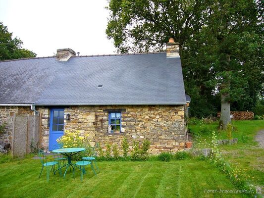 Dilasseur-Réminiac-Morbihan-Bretagne-Sud