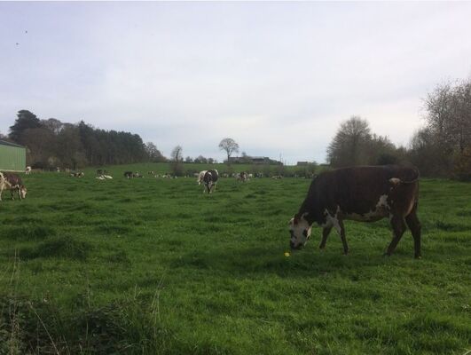 Ferme-de-La-Touche-Rolland-2-2