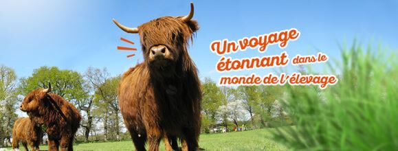 Ferme du Monde, Carentoir, Brocéliande, Bretagne