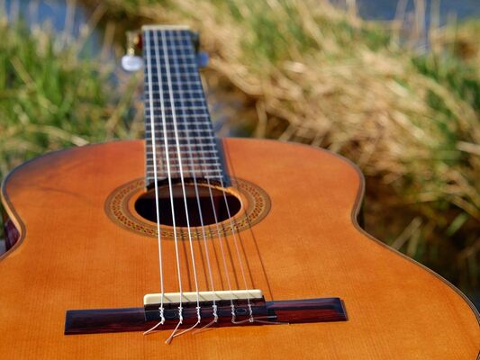 Concert - café de la forge