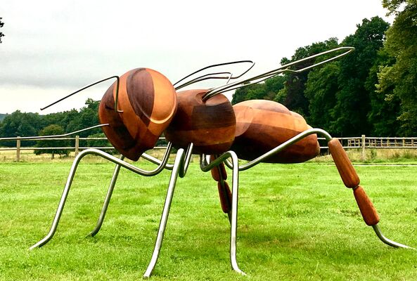 Insect_inside_Jardins de Bro_2020_fourmivolante_tousdroitsreserves