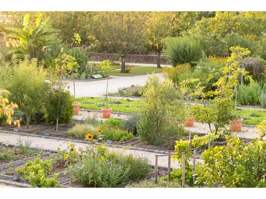 Jardinbota 285 15
