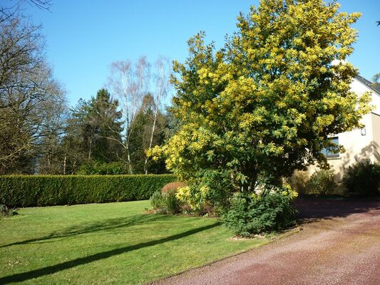 La Clef de Broceliande