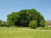 Motte Jubin
