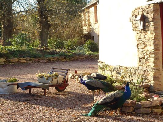 Le-Logis-de-l-Etang-de-l-Aune-9