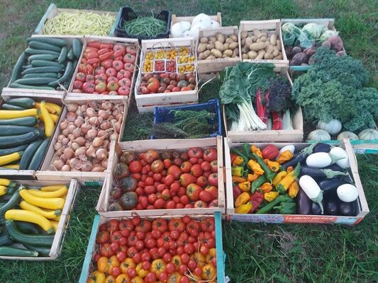 Les Légumes de Pesnel