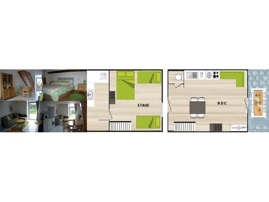 Plan-chataigniers Saint Martin Sur Oust