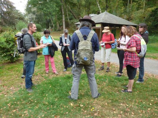 Sorties-botaniques-Paimpont-3