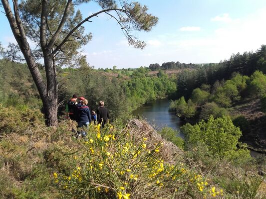 Vallon de la chambre au Loup Iffendic Brocéliande Bretagne ©office de tourisme lac de Trémelin (7)