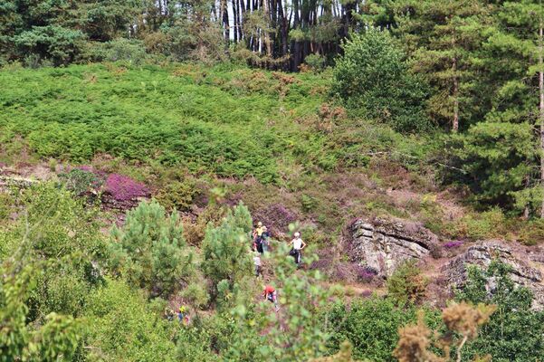 Vallon de la chambre au Loup Iffendic Brocéliande Bretagne ©office de tourisme lac de Trémelin (2)