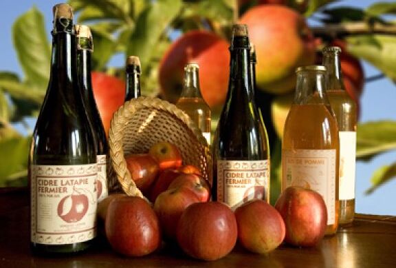Vergers bio latapie cidre