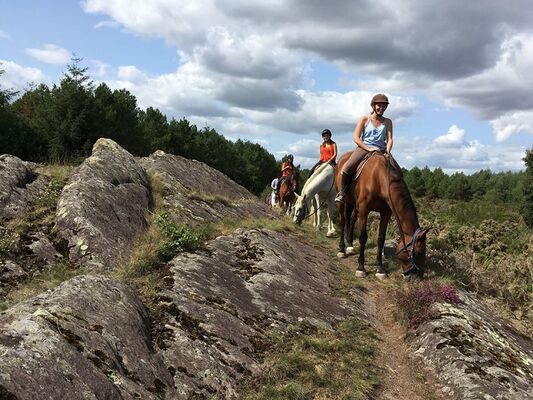 cheval Brocéliande - centre équestre - Tréhorenteuc - Morbihan