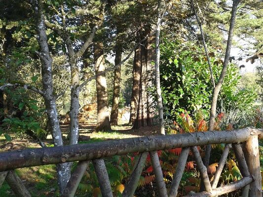 Gîte 9 pers. La Maringotte