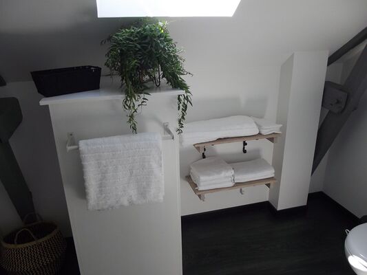 il etait une fois broceliande salle de bain
