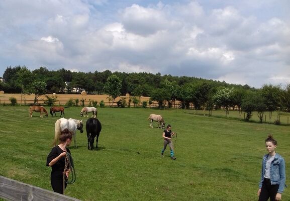 les-chevaux-du-vent-la-claie-des-landes