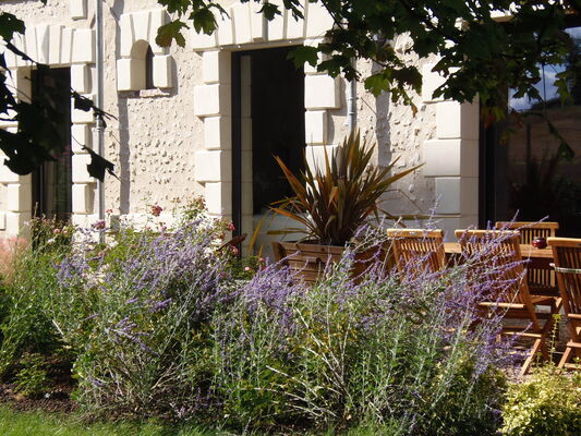 Terrasse