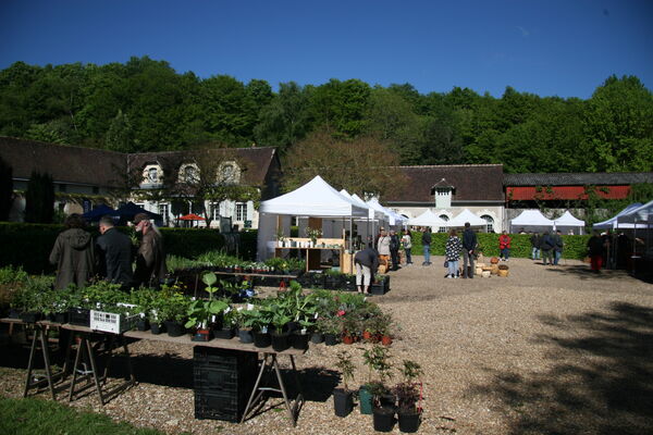 Marché aux plantes