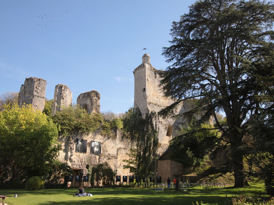chateau-de-vendome©A-Veillith-CPV