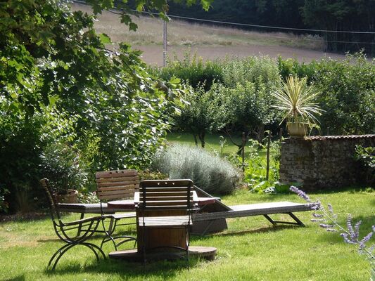 jardin vue pommiers
