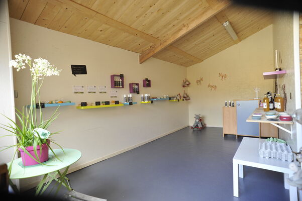 424152_asinerie_du_bois_gamats_i_laval_-_cp_pbeltrami_-_mayenne_tourisme_32